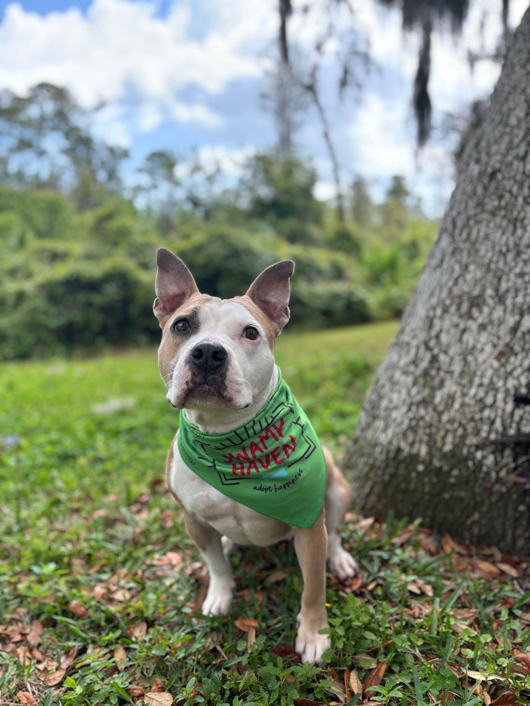 Classic Logo Bandana