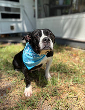 Load image into Gallery viewer, Me &amp; My Human Bandana

